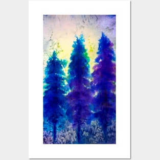 Blue Pine trees Posters and Art